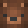 BearGrills