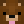 Bearforce1