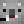 Beast_Koala