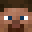 Bergenatorr Minecraft avatar