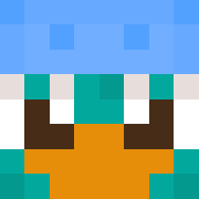 skin gracza