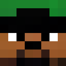 Bomber_sn