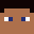 Brave_Sheep_2024
