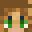 Bree1525 Minecraft avatar