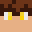 BrunoTheElite Minecraft avatar