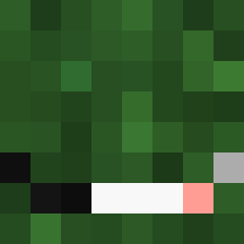 Bush_Guy
