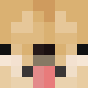 C0olPuppy2013
