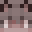 CAT102 Minecraft avatar