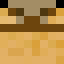 CamelJack900
