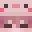 Camietooties Minecraft avatar