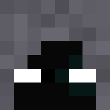Castorix11