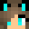 CelestialC00ki3 Minecraft avatar