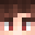 ChAttER Minecraft avatar