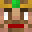 DIDI Minecraft avatar