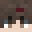 DamDamDev Minecraft avatar