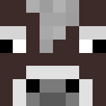 Photo de profil de DerNoob