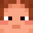 Dildimoose2 Minecraft-head