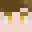 DrNishu Minecraft avatar