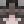 DuckieDion