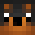 Photo de profil de EluMe_RapidzZ