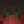 EnderRuin