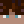 FBWiggy_