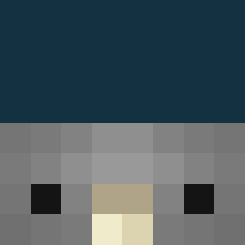 FLOW_PIGEON