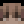 FaZeLarp avatar