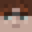 Feed0r_bug
