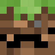 skin gracza