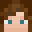 Gashy_ Minecraft avatar