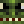 Gator