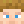 GingerLogz