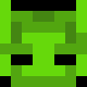 Minecraft skin head of Havoidz