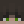 HoraryPolecat98