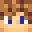 IUNBR34K4BL3I Minecraft avatar