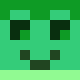 Minecraft skin head of ItzNevoy