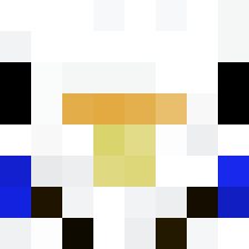 JoeyThebudgie