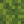 John_Raidfarms