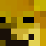 Photo de profil de Lachbash