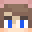 Leci Minecraft avatar