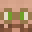 Lerran Minecraft avatar