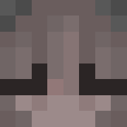 skin gracza