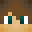 Livio_333 Minecraft avatar