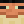 Maxon_556