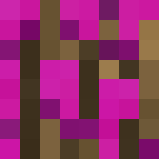 Mentorius