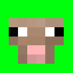 Photo de profil de Narr