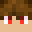 NelixMC