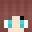 NightOwl1751 Minecraft avatar