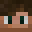 NobleCobra Minecraft avatar
